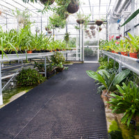 Vynagrip is used to create a slip-resistant walkway in a busy UK greenhouse.