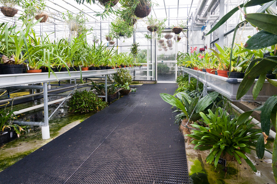 Vynagrip is used to create a slip-resistant walkway in a busy UK greenhouse. 