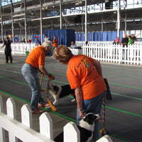 Tuff Spun provides comfort underfoot in this multi-use entertainment arena.